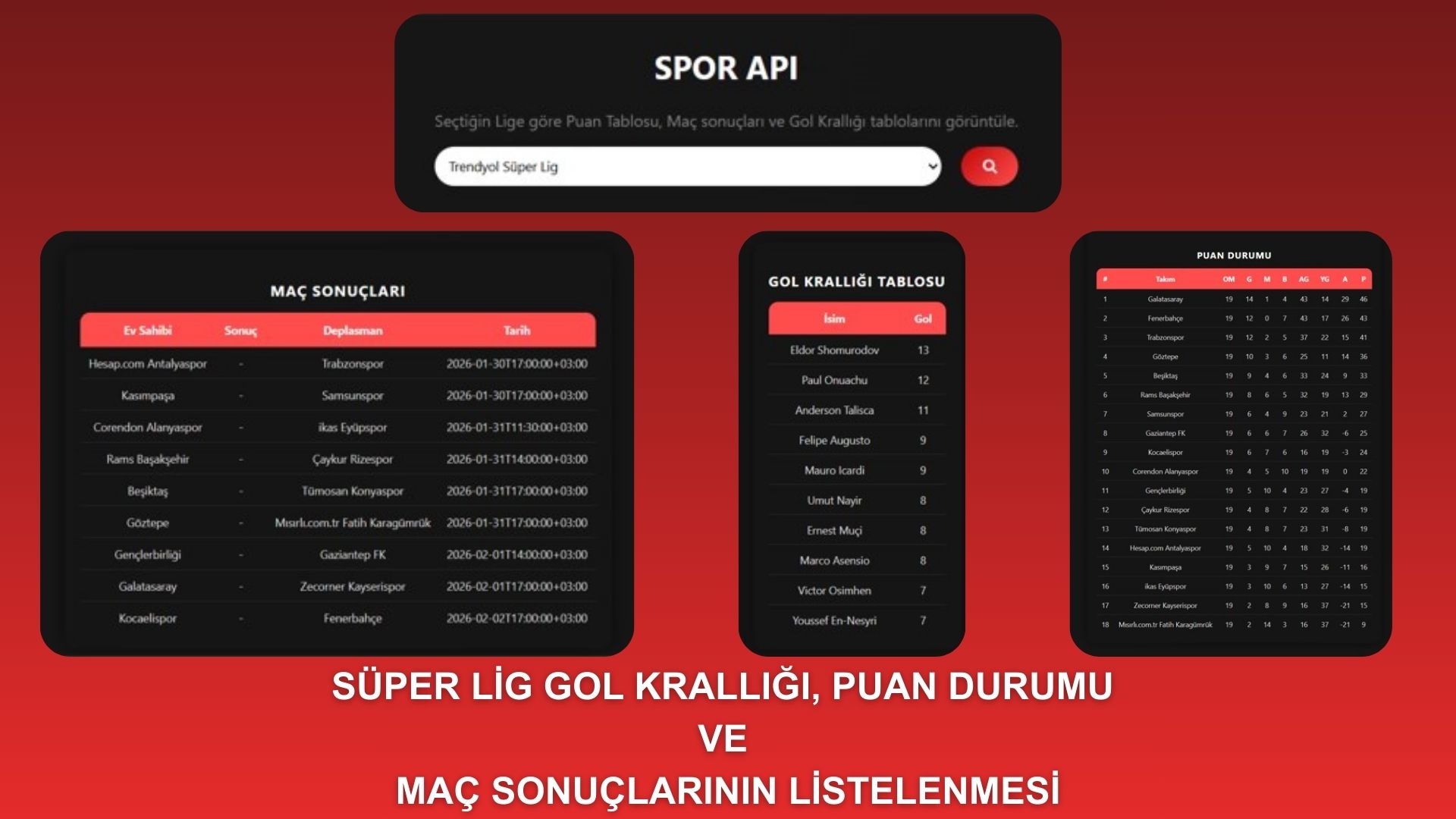 SPOR API DASHBOARD | API ile Spor Ligleri Verileri